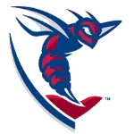 Shenandoah Hornets