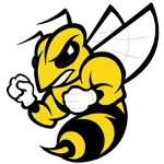 Randolph Macon Yellow Jackets