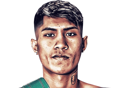 Luis Torres Valenzuela