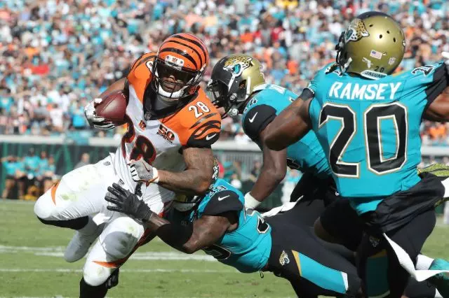 Cincinnati Bengals vs Jacksonville Jaguars Live Stream